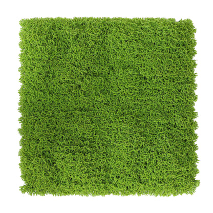 Sample Panel of Premium Faux Evergreen Moss Mat (Small Sample) Commercial Grade UV Resistant