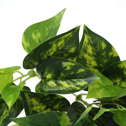 Artificial Pothos / Devil's Ivy Bush 9.5"