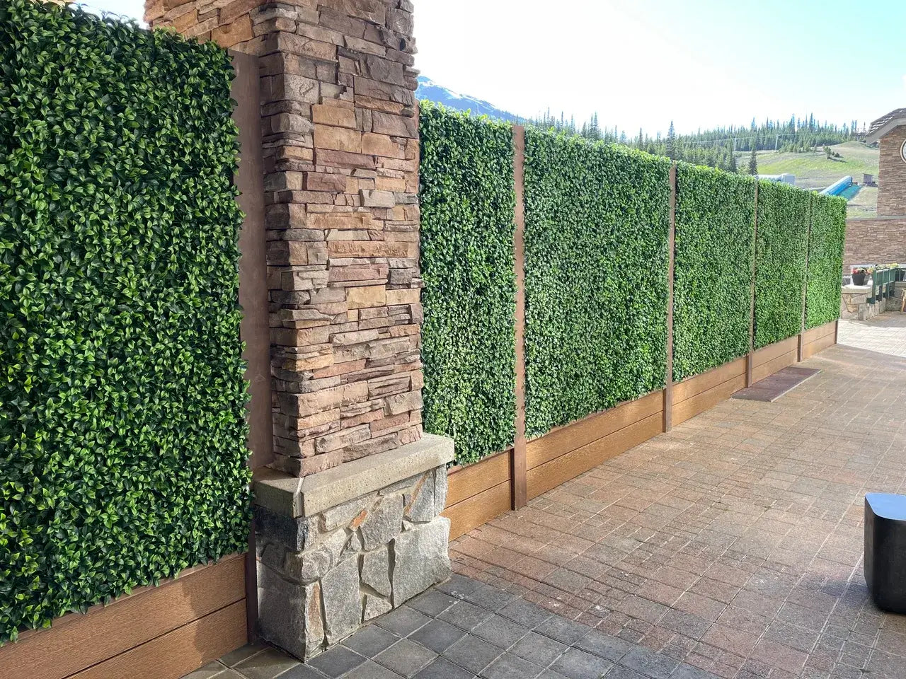 Sample Panel of Jasmine Artificial Green Wall (Small Sample) Commercial Grade UV Resistant
