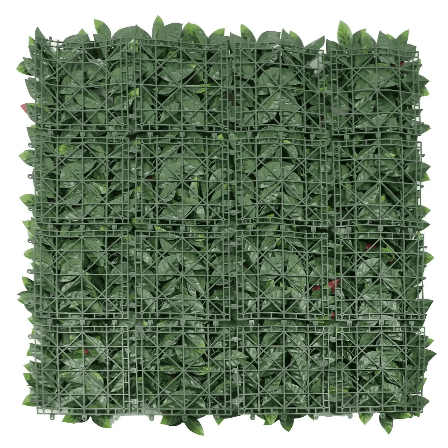 Artificial Photinia Hedge Panel Wall 40" x 40" 11SQ FT Commercial Grade UV Resistant