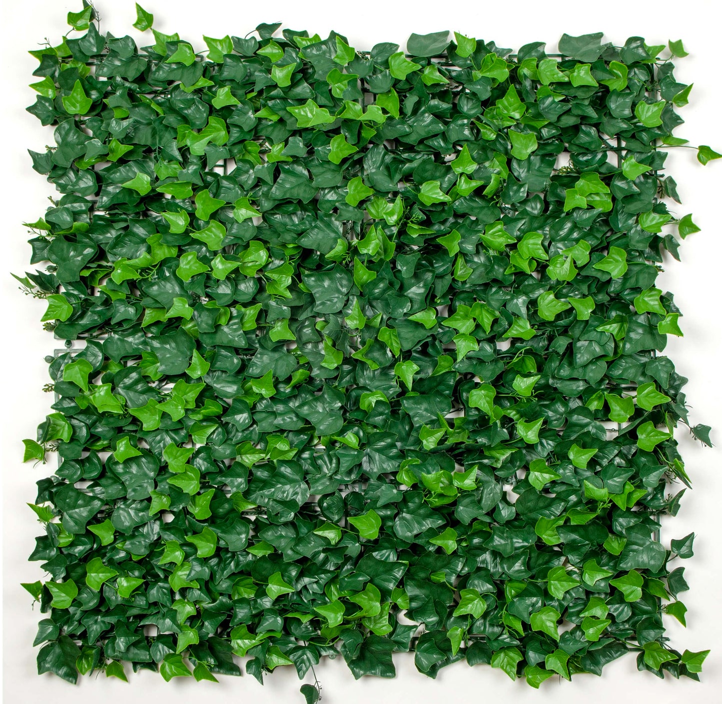 Sample Panel Artificial Boston Ivy Green Wall (Small Sample) Commercial Grade UV Resistant