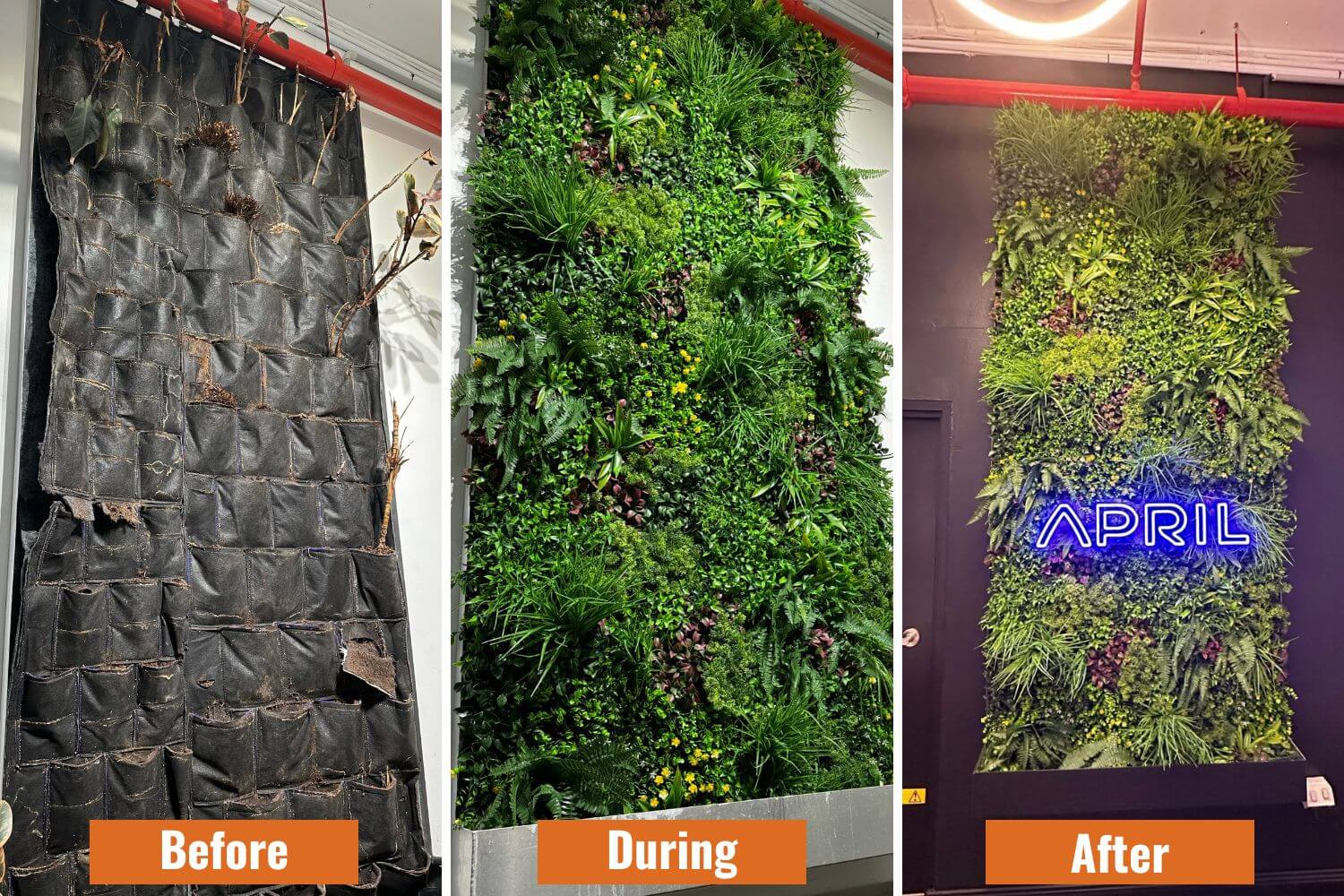 Luxury Country Fern Artificial Vertical Garden 40" x 40" 11SQ FT Commercial Grade UV Resistant