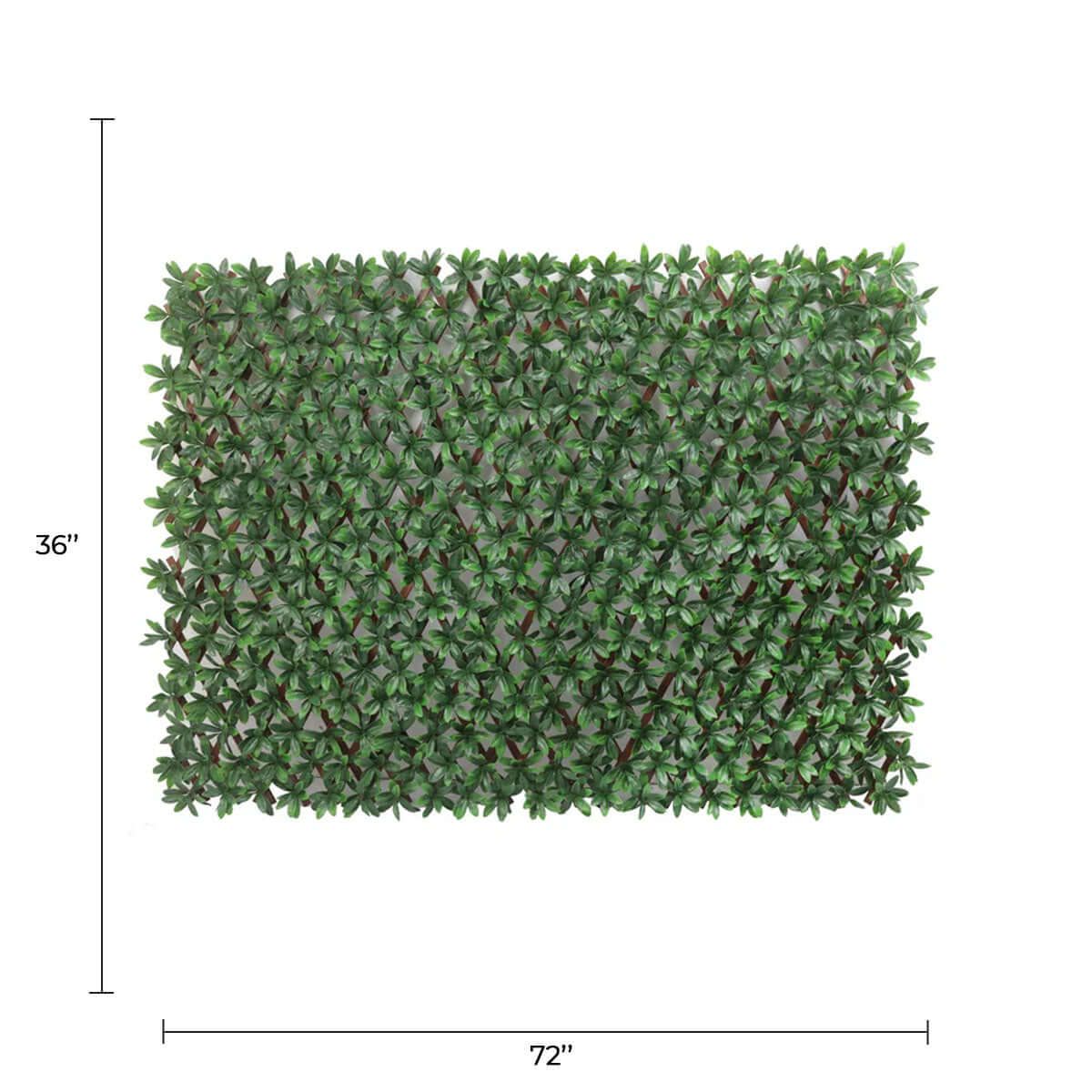 Expandable Faux English Laurel Trellis Privacy Fence (Variable Size) UV Resistant - 72" x 36"