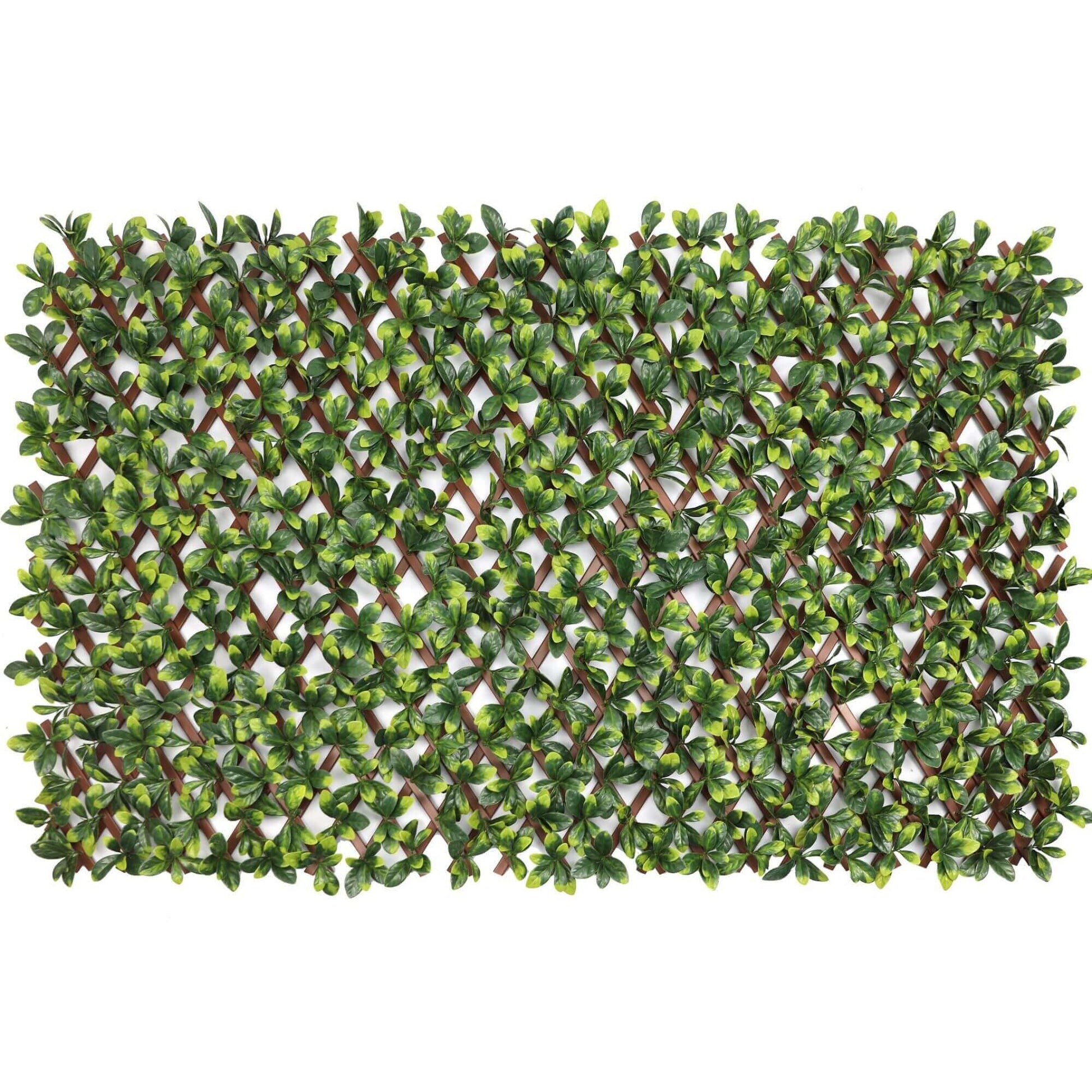 Expandable Faux Green Ligustrum Ficus Trellis Privacy Fence (Variable Size) UV Resistant 72" x 36"