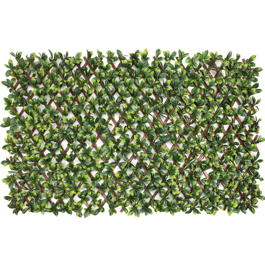 Expandable Faux Green Ligustrum Ficus Trellis Privacy Fence (Variable Size) UV Resistant 72" x 36"