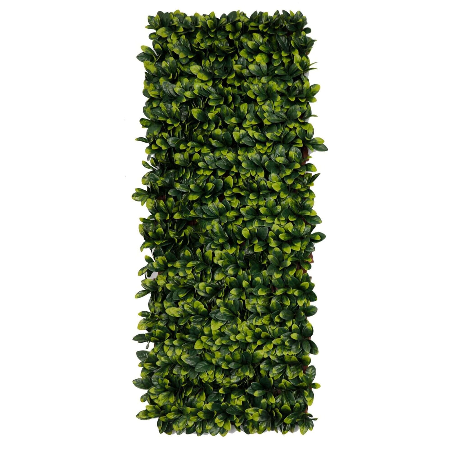 Expandable Faux Green Ligustrum Ficus Trellis Privacy Fence (Variable Size) UV Resistant 72" x 36"