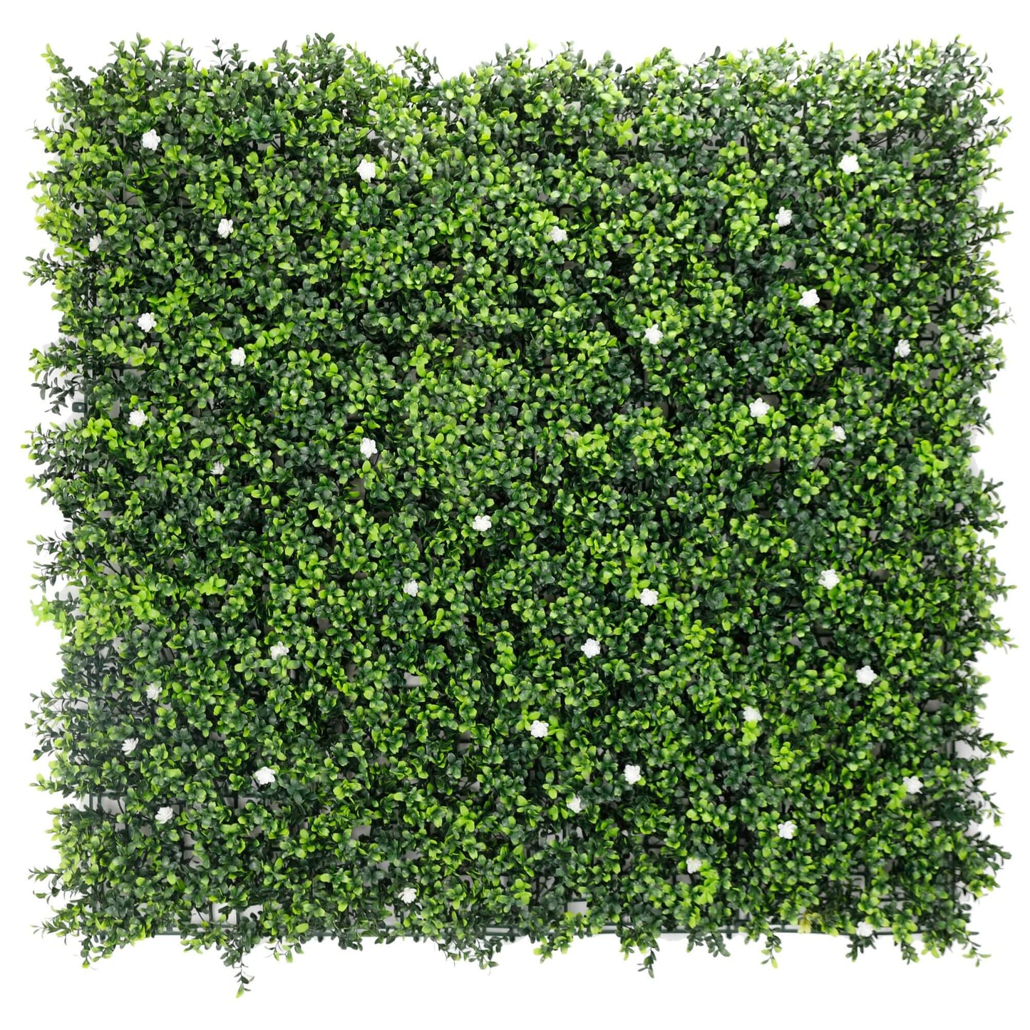 White Flowering Artificial Boxwood Wall 40" x 40" 11SQ FT Commercial Grade UV Resistant