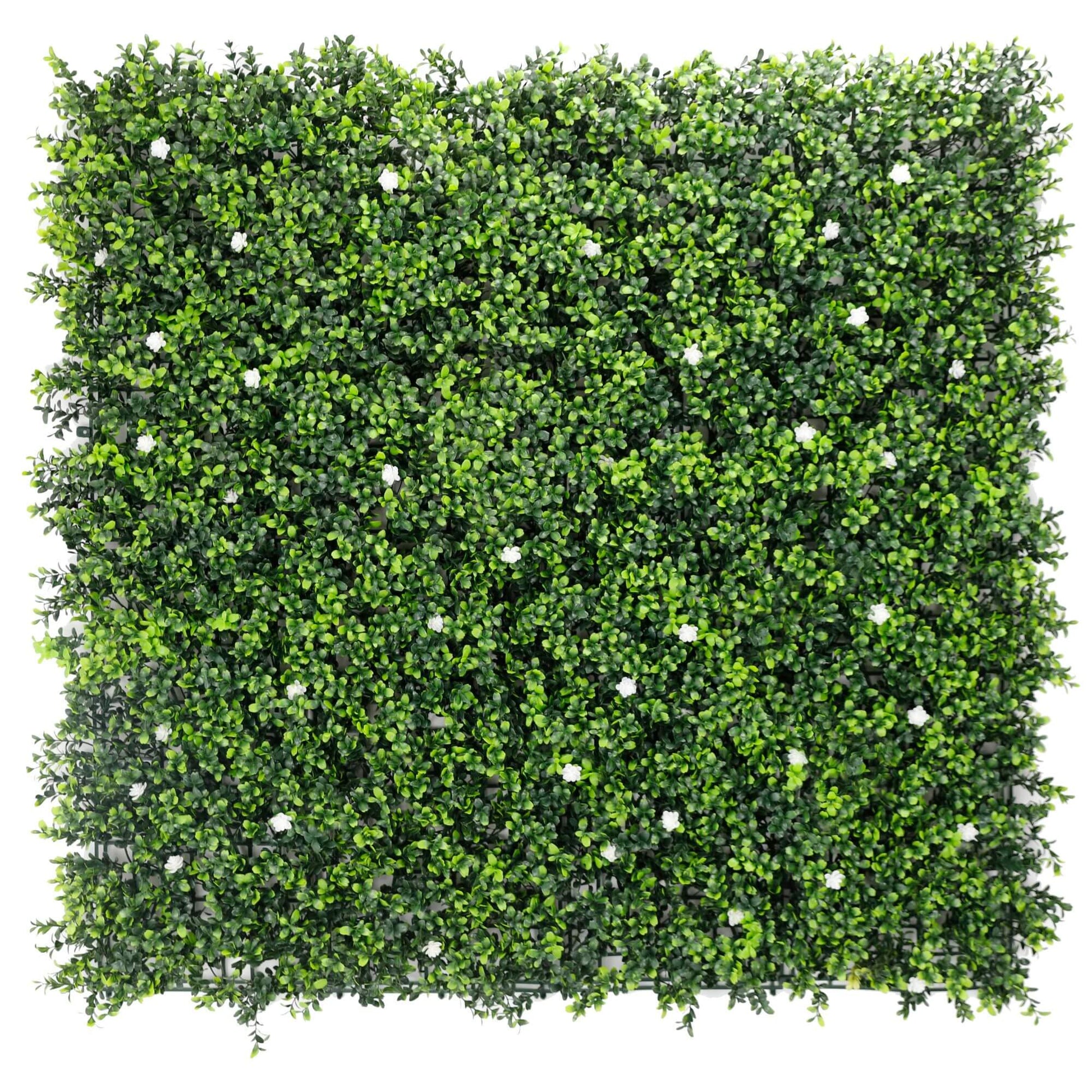 White Flowering Artificial Boxwood Wall 40" x 40" 11SQ FT Commercial Grade UV Resistant