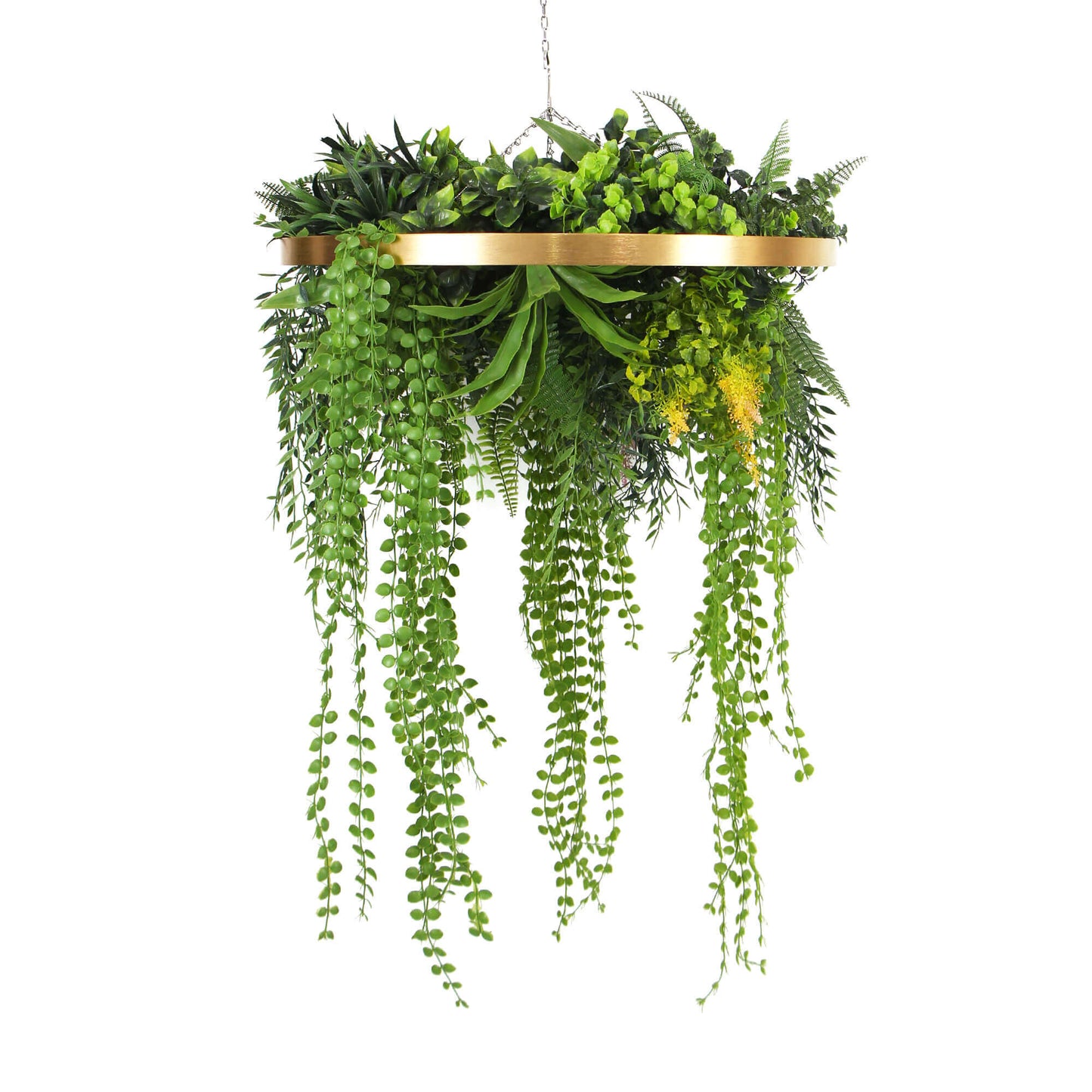 Imitation Premium Gold Artificial Hanging Green Wall Disc 15" (Limited Edition)