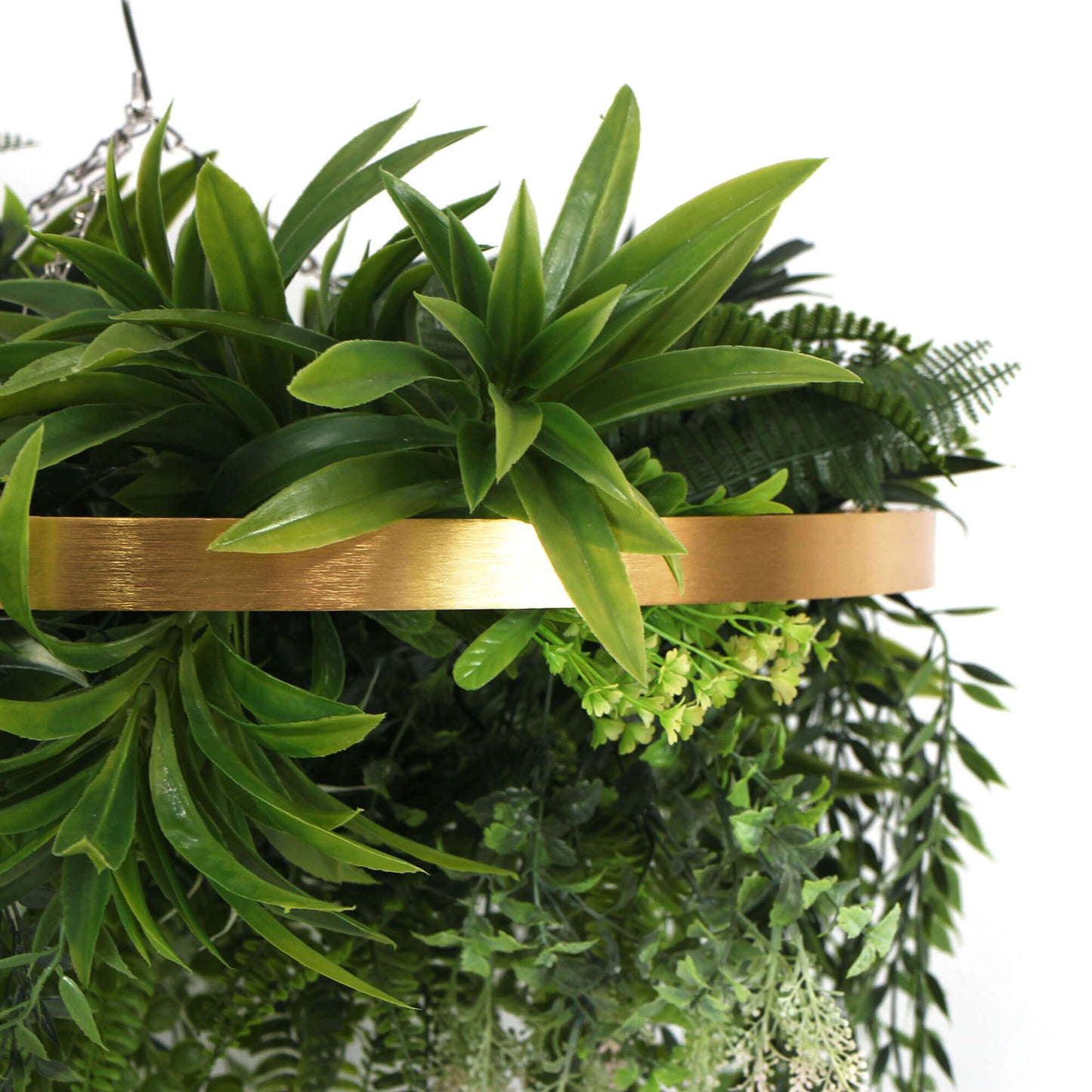 Imitation Premium Gold Artificial Hanging Green Wall Disc 15" (Limited Edition)