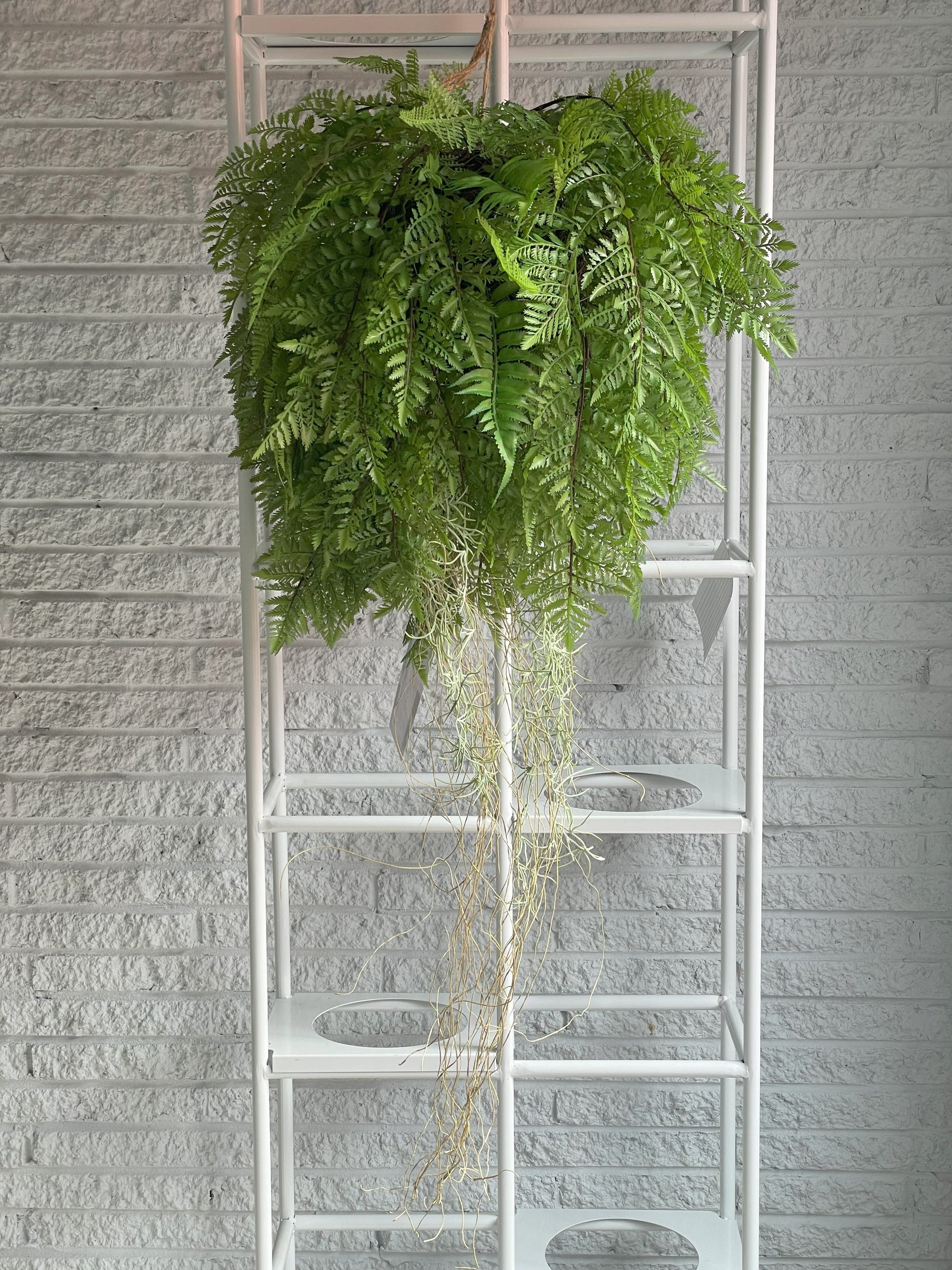 Ultra Luxury Large Lush Tropical Artificial Hanging Fern Ball 21" Diameter (Overstock)