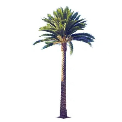 Tall Artificial Florida Palm Tree (13ft To 23ft) UV Resistant (10-12 Week Back Order)