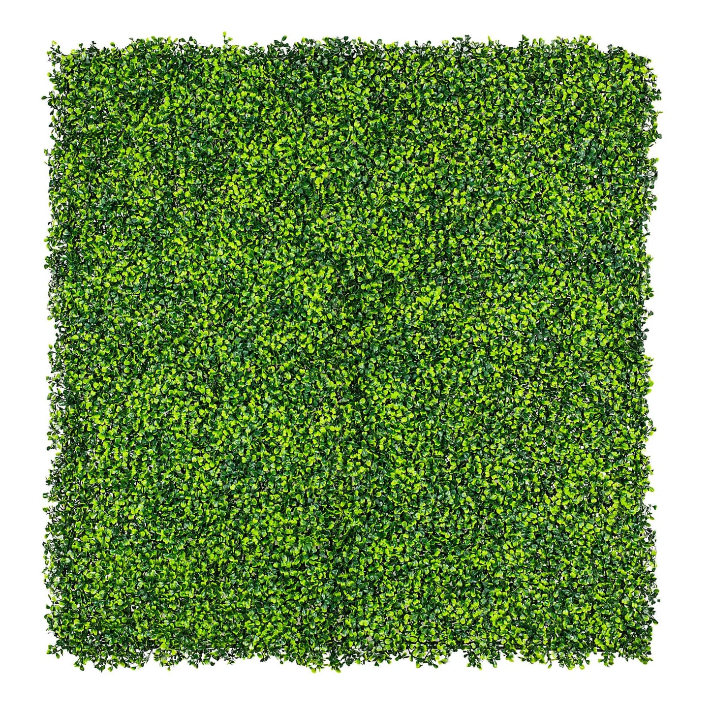 Artificial Mixed Boxwood Hedge Panel Wall 40" x 40" 11SQ FT Commercial Grade UV Resistant