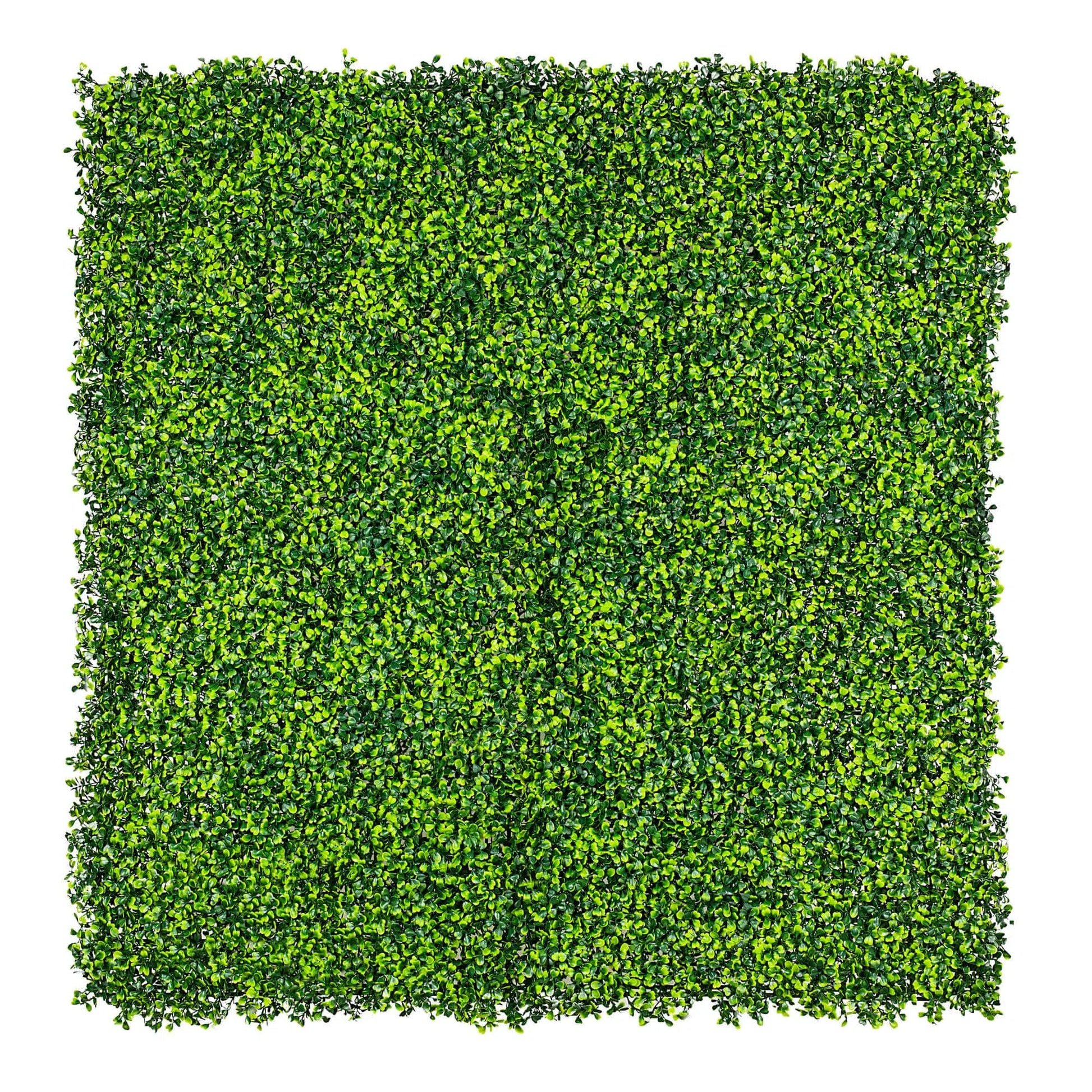 Sample Panel of Mixed Artificial Boxwood Wall (Small Sample) Commercial Grade UV Resistant