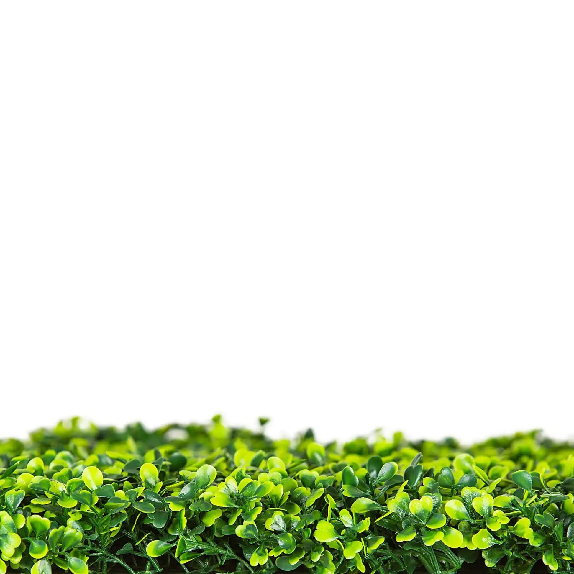 Premium Light Green Artificial Boxwood Hedge 30"L x 30"H Commercial Grade UV Resistant