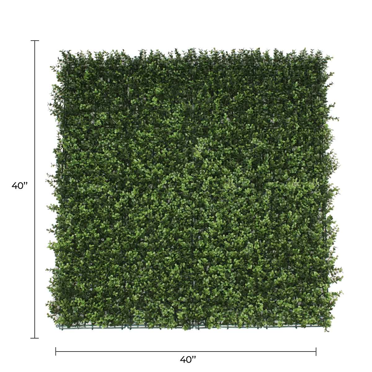 Natural Artificial Boxwood Wall 40" x 40" 11SQ FT Commercial Grade UV Resistant