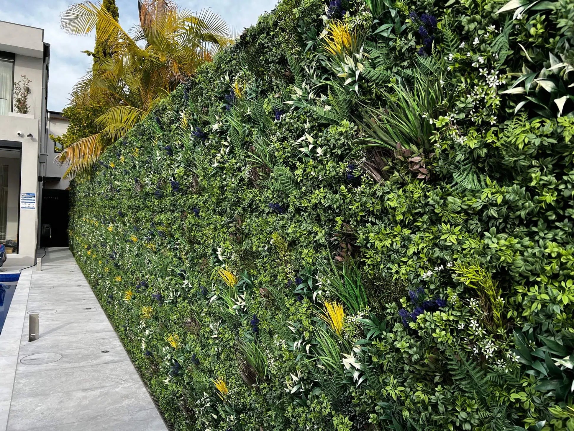 Luxury Garden of Eden 40" x 40" 11SQ FT Ultra Premium Metal Backed Commercial UV Green Wall NFPA Fire Resistant