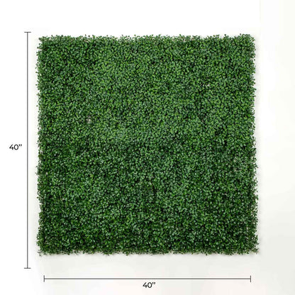 Dark Artificial Boxwood Wall 40" x 40" 11SQ FT Commercial Grade UV Resistant