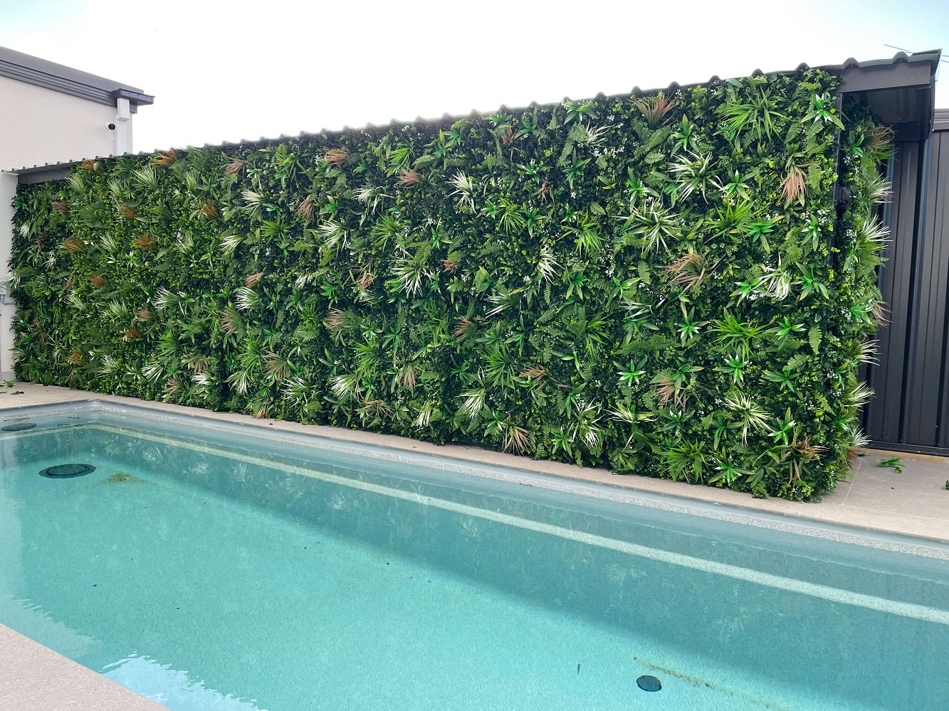 Sample Panel of Wild Tropics Artificial Vertical Garden (Small Sample) Commercial Grade UV Resistant