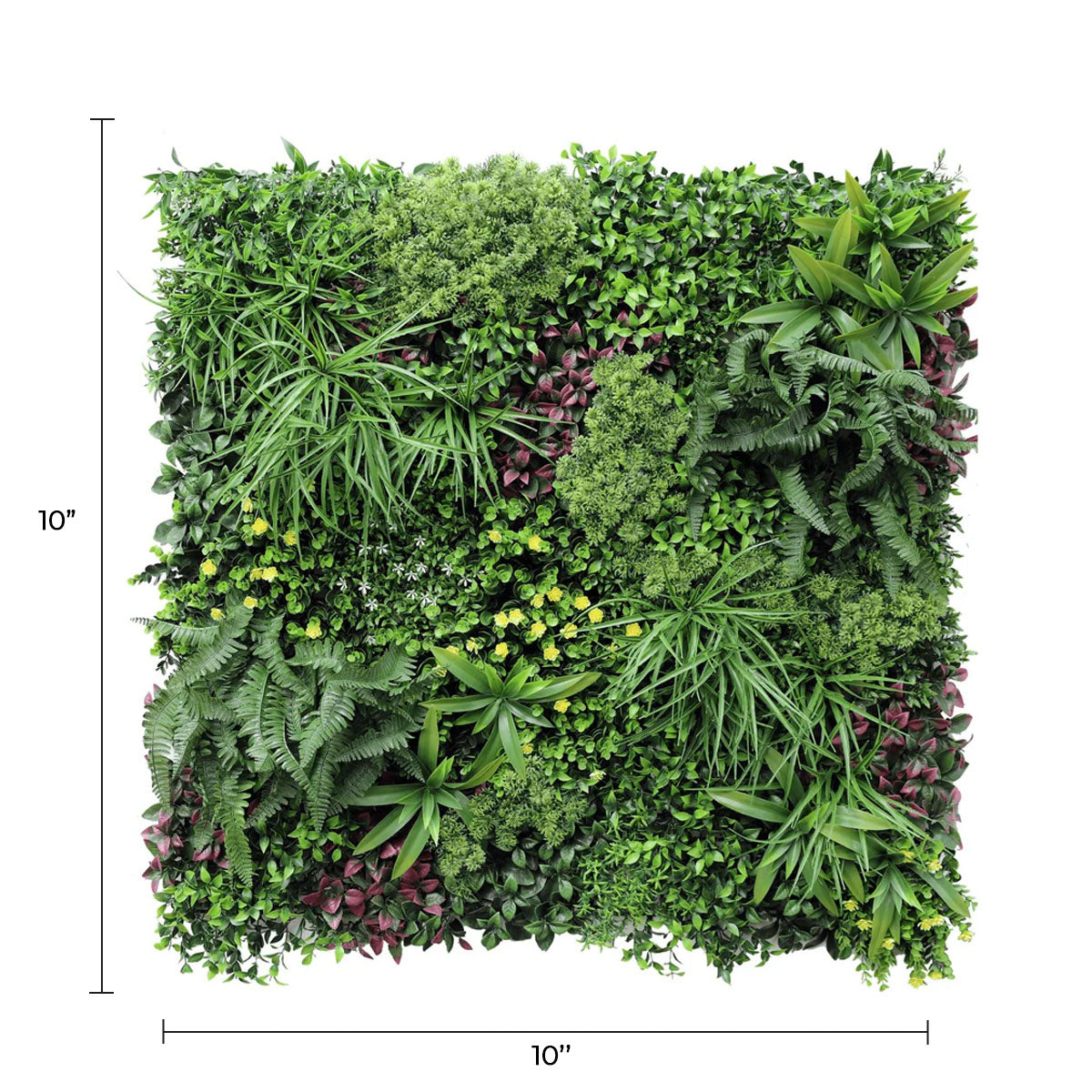 Sample Panel of Country Fern Artificial Vertical Garden (Small Sample) Commercial Grade UV Resistant