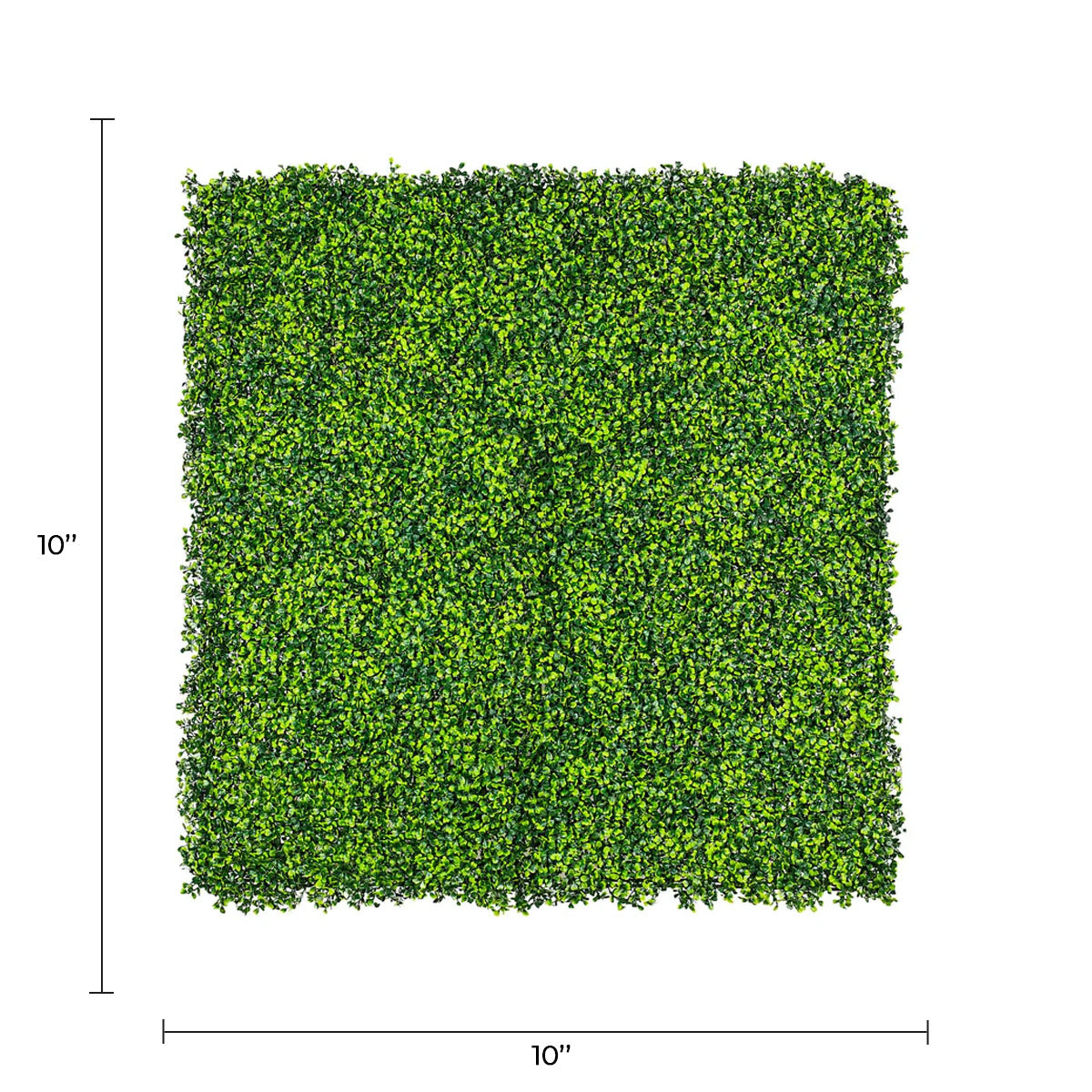 Sample Panel of Mixed Artificial Boxwood Wall (Small Sample) Commercial Grade UV Resistant