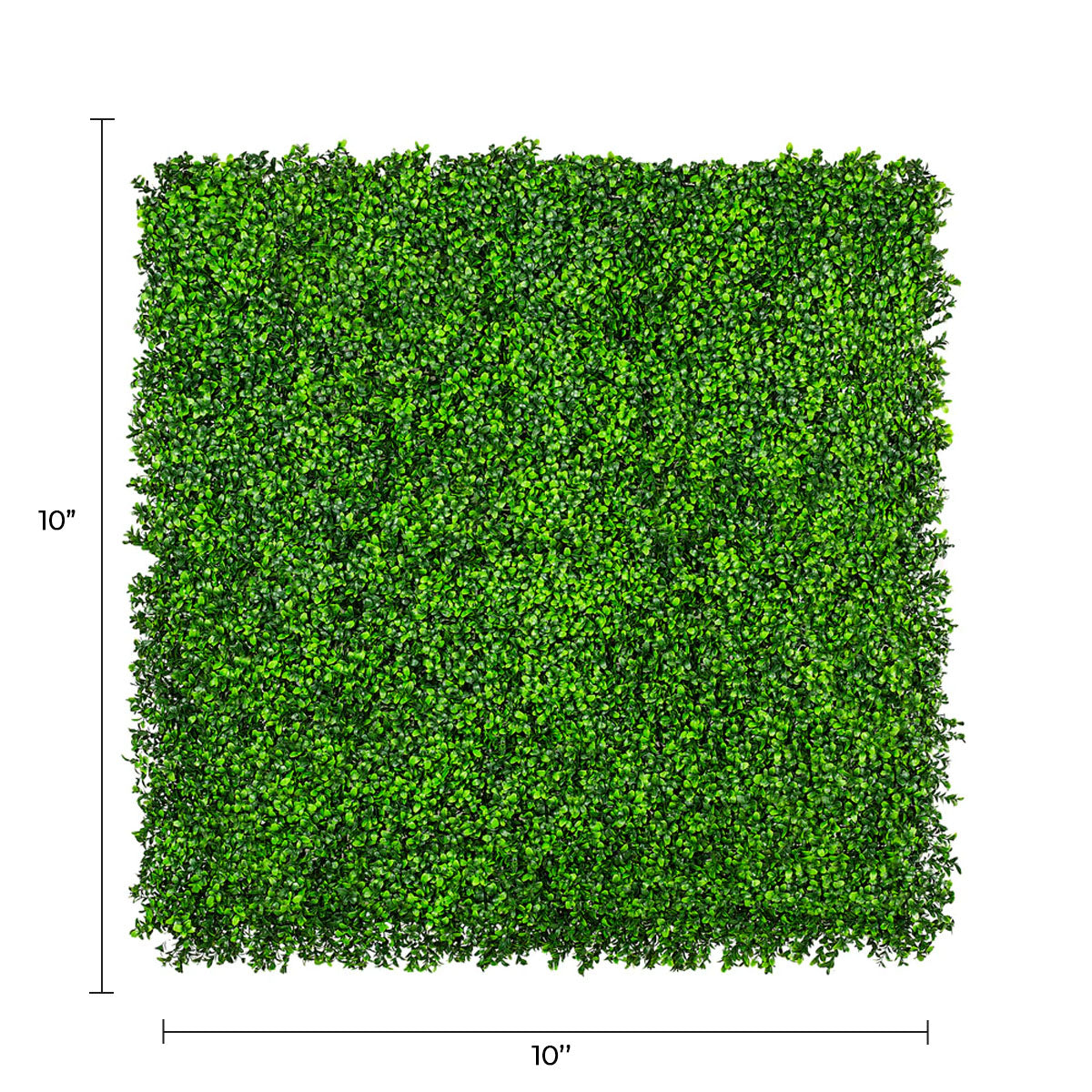 Sample Panel of Premium Bright Artificial Boxwood Wall (Small Sample) Commercial Grade UV Resistant