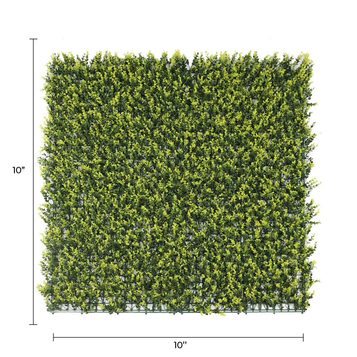 Sample Panel of Yellow English Artificial Boxwood Wall (Small Sample) Commercial Grade UV Resistant