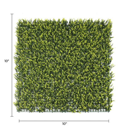 Sample Panel of Yellow English Artificial Boxwood Wall (Small Sample) Commercial Grade UV Resistant