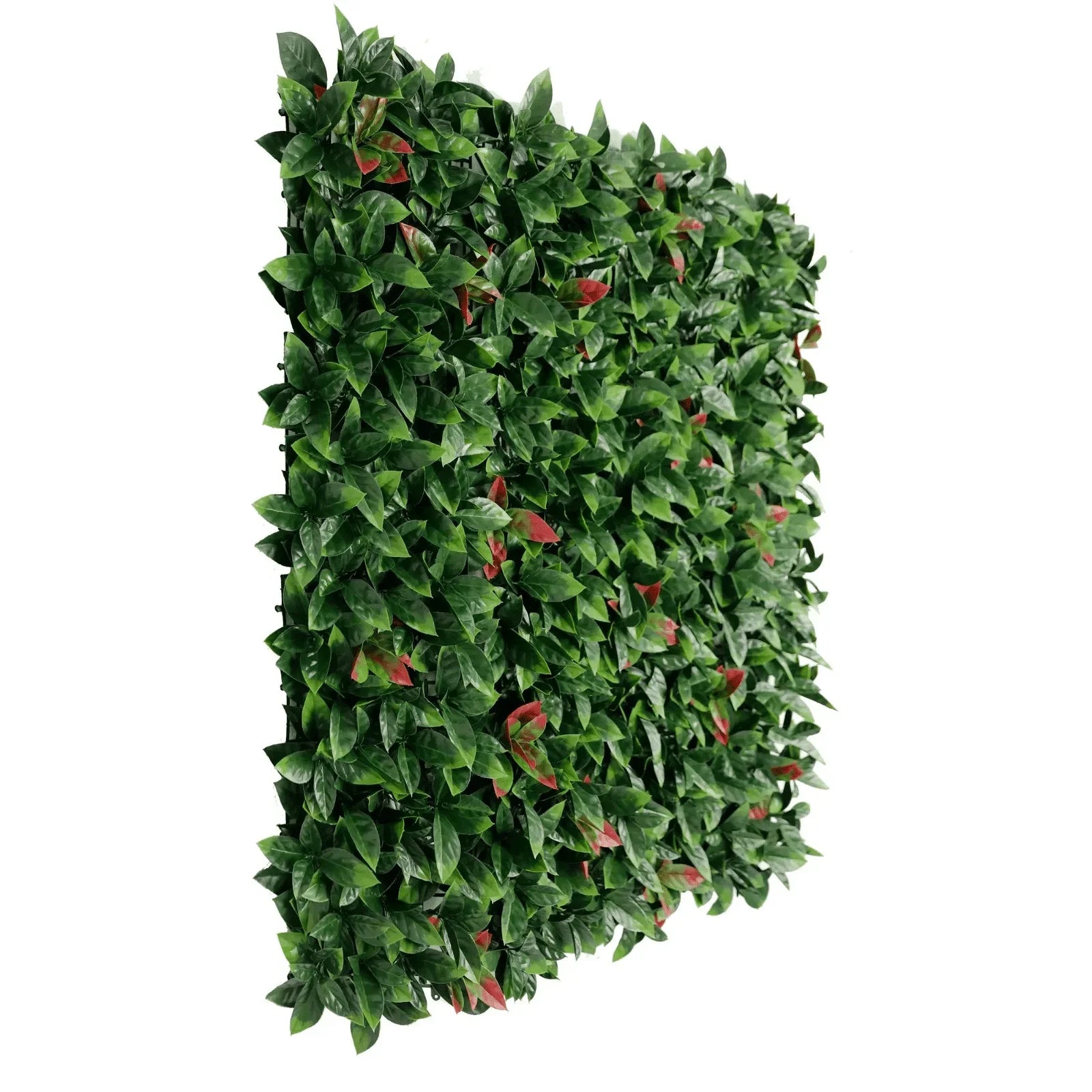 Artificial Photinia Hedge Panel Wall 40" x 40" 11SQ FT Commercial Grade UV Resistant