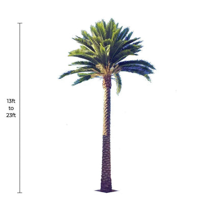 Tall Artificial Florida Palm Tree (13ft To 23ft) UV Resistant (10-12 Week Back Order)