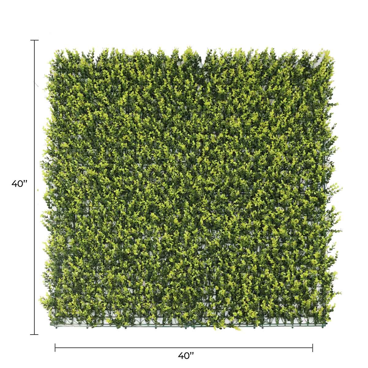 Yellow English Artificial Boxwood Wall 40" x 40" 11SQ FT Commercial Grade UV Resistant