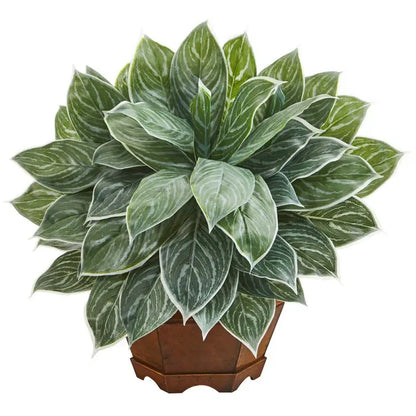 18" Silver Aglaonema Plant in Planter (Real Touch)