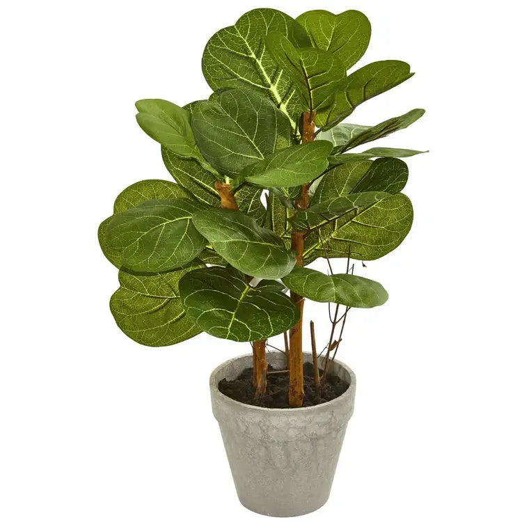 22" Fiddle Leaf Artificial Plant