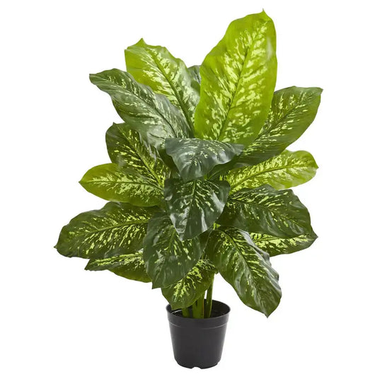 34" Dieffenbachia Artificial Plant (Real Touch)