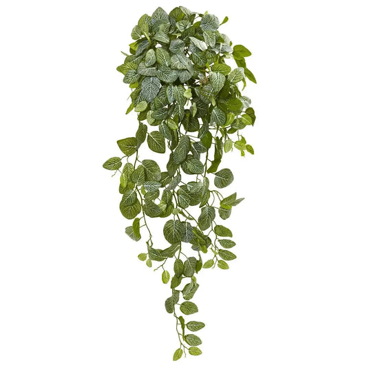 36" Fittonia Artificial Hanging Bush (Set of 2)(Real Touch)