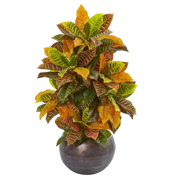 37" Croton Artificial Plant in Metal Bowl (Real Touch)