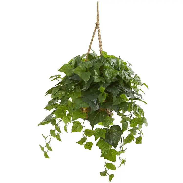 38" London Ivy Plant in Hanging Basket (Real Touch)