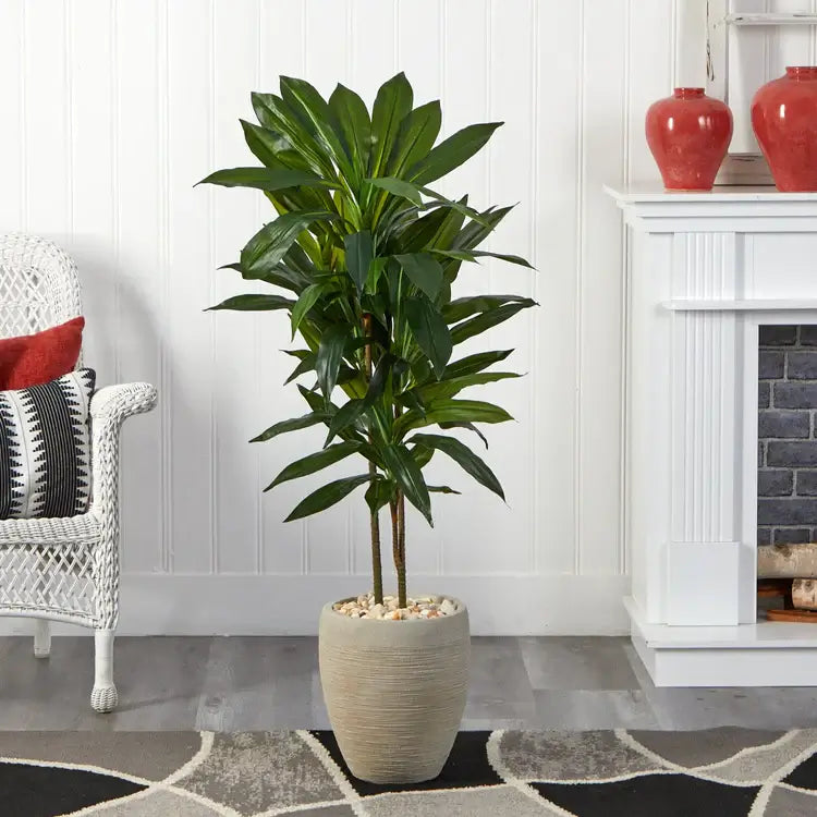 4' Dracaena Plant in Sand Colored Planter (Real Touch)