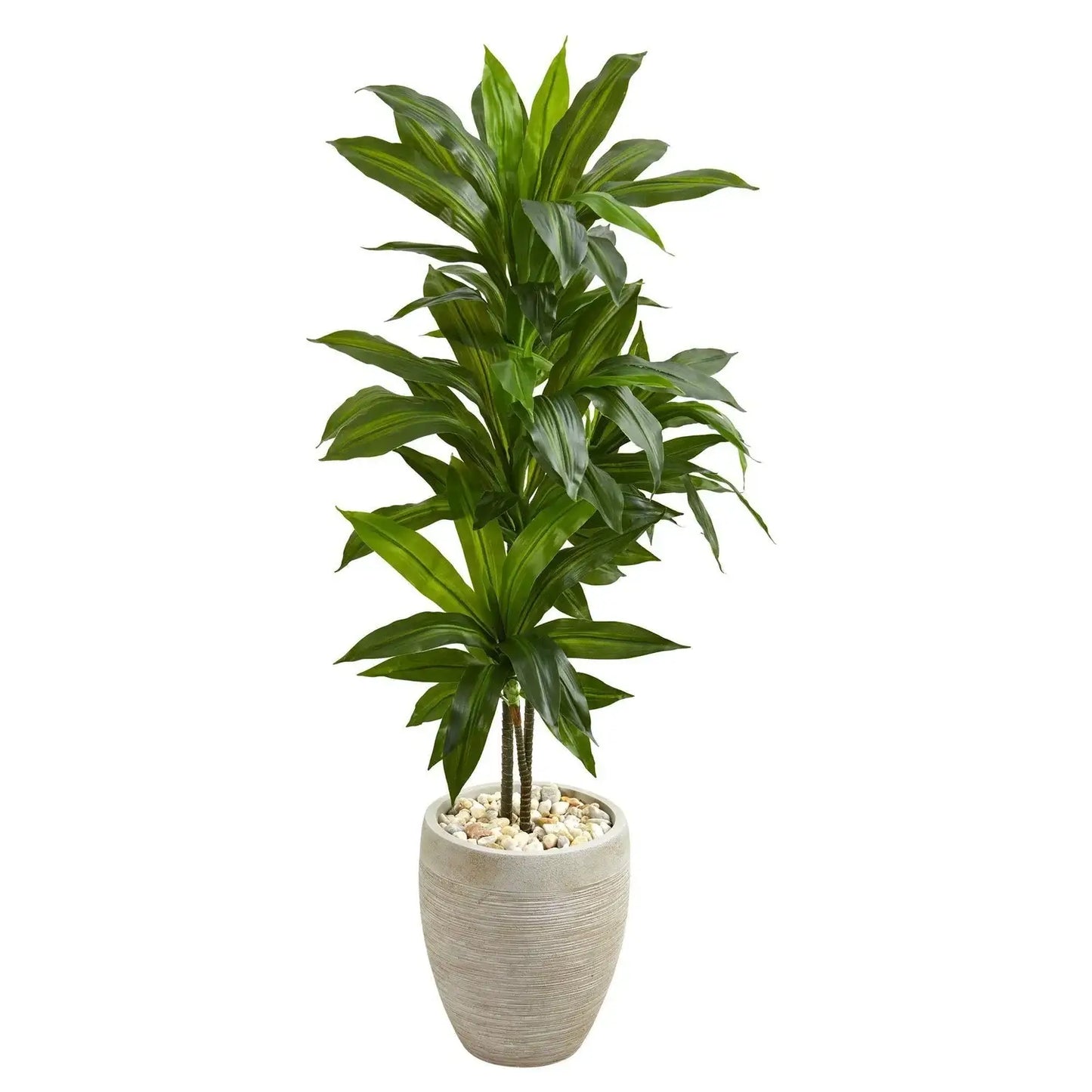 4' Dracaena Plant in Sand Colored Planter (Real Touch)