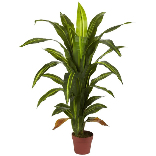 4' Dracaena Plant (Real Touch)