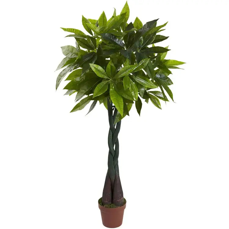 4' Money Plant (Real Touch)