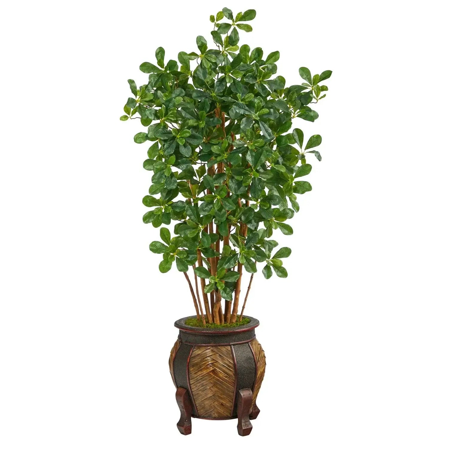 4.5' Black Olive Artificial Tree in Decorative Planter