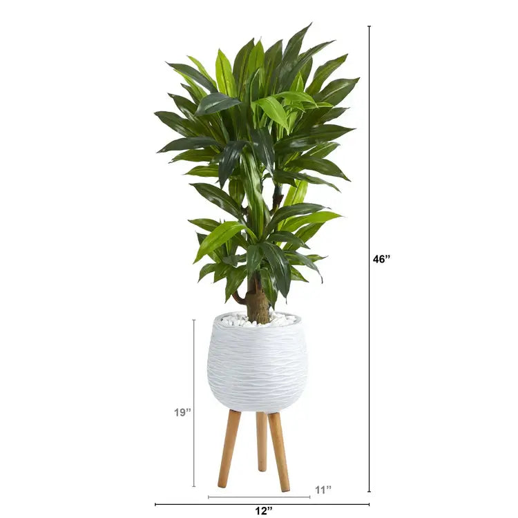 46" Corn Stalk Dracaena Plant in Planter w/Legs (Real Touch)