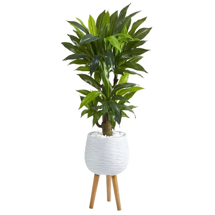 46" Corn Stalk Dracaena Plant in Planter w/Legs (Real Touch)