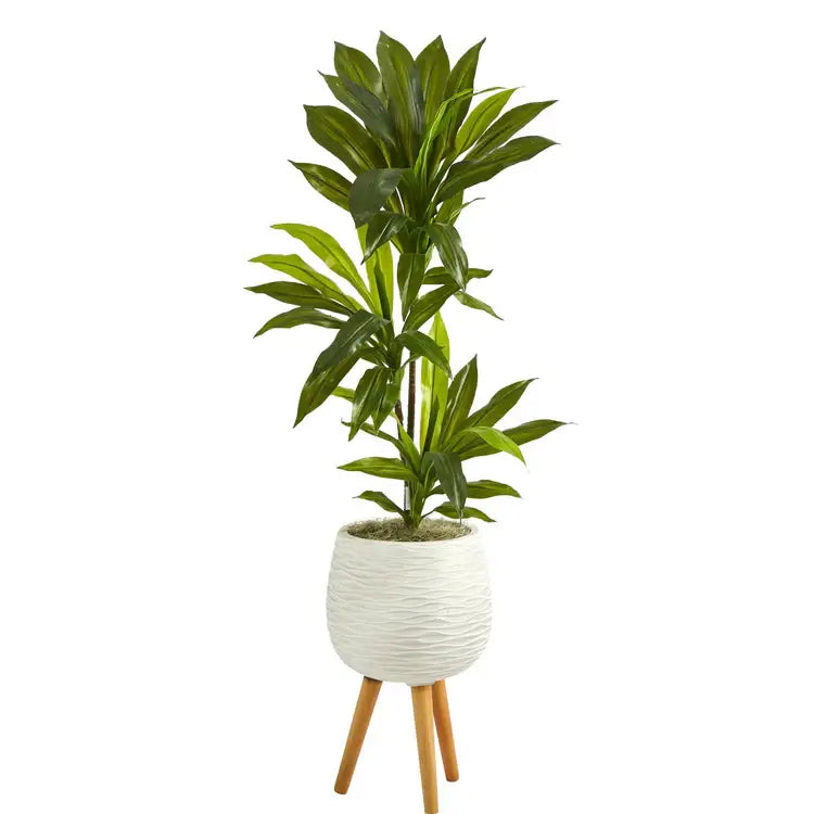 46" Dracaena Plant in White Planter with Stand (Real Touch)