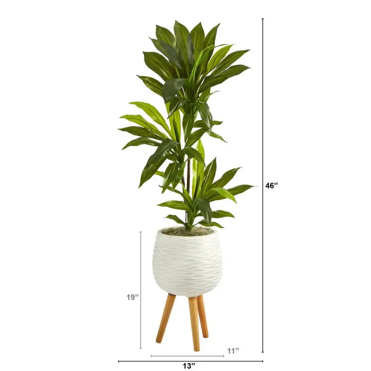 46" Dracaena Plant in White Planter with Stand (Real Touch)