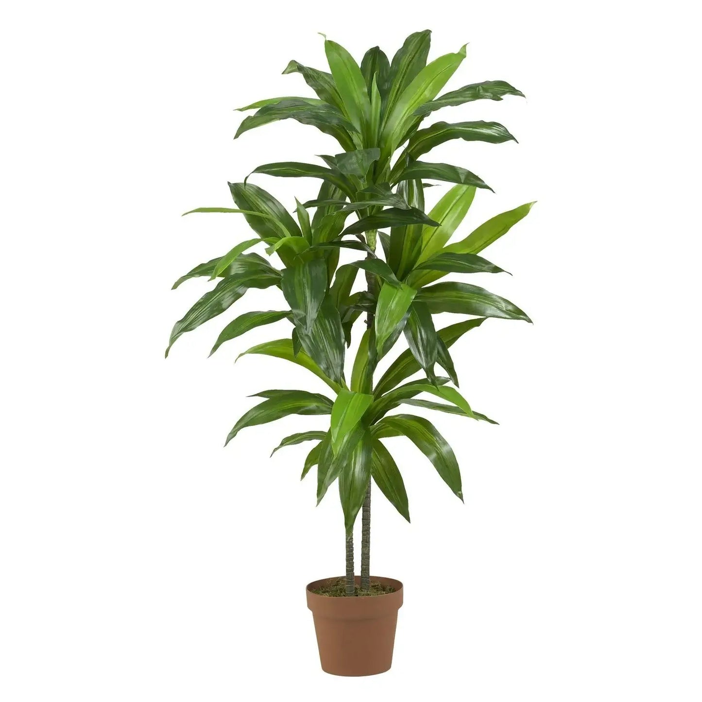 48" Dracaena Silk Plant (Real Touch)