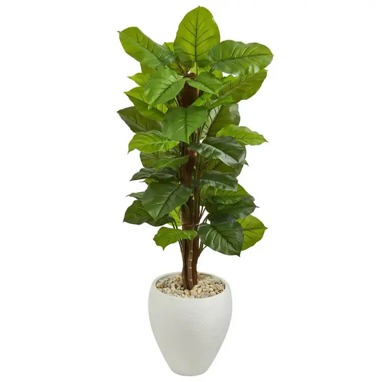 5' Large Leaf Philodendron Plant in Planter (Real Touch)