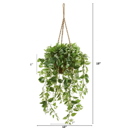 51" Wandering Jew Plant in Hanging Basket (Real Touch)