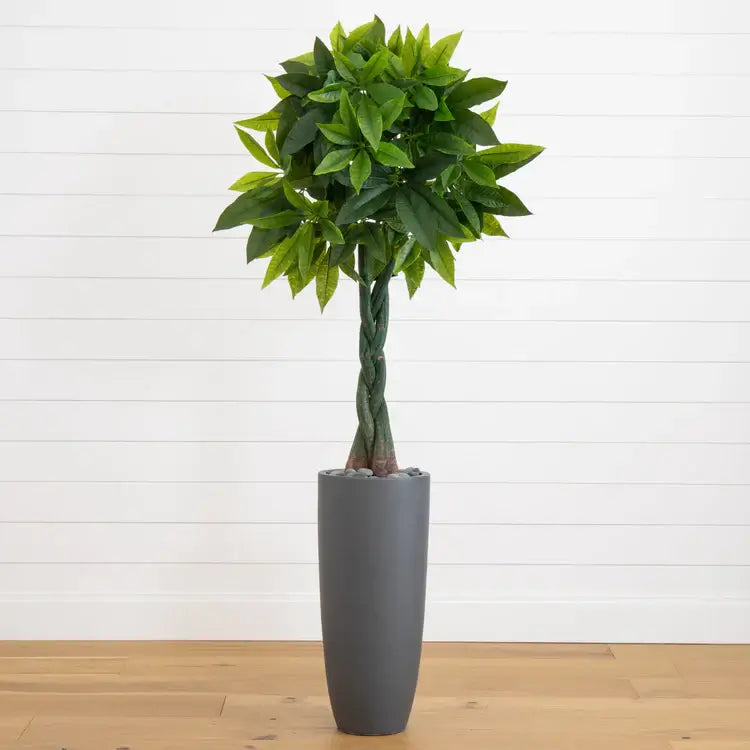 5.5' Money Artificial Tree in Cylinder Planter (Real Touch)